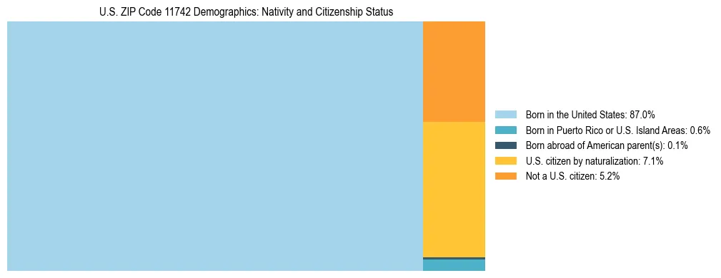 Treemap showing the population distribution by nativity and citizenship status in US ZIP Code 11742 based on U.S. Census data.