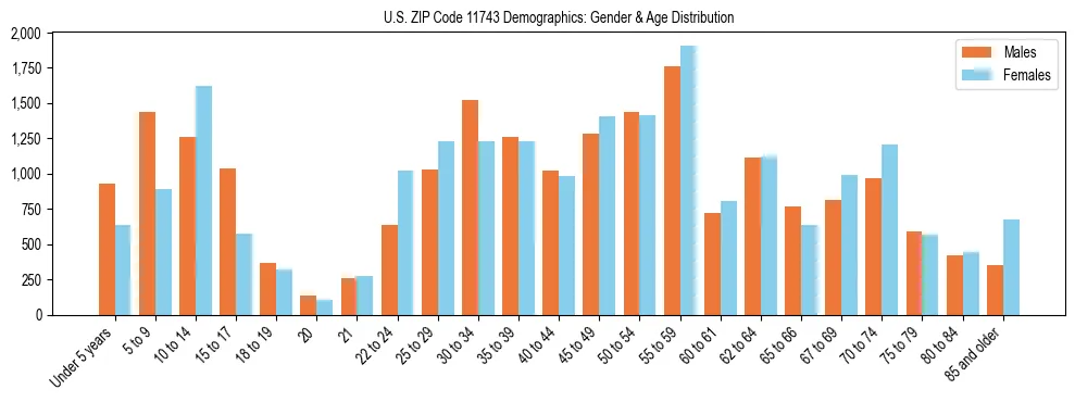 Bar chart showing the population distribution of US ZIP Code 11743 by age group and gender, based on 2023 ACS data.