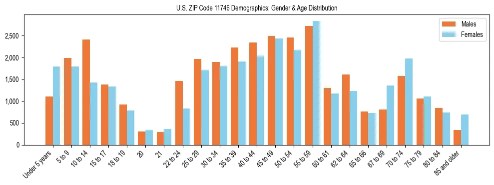 Bar chart showing the population distribution of US ZIP Code 11746 by age group and gender, based on 2023 ACS data.