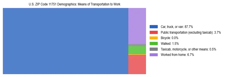 Treemap showing means of transportation to work distribution in US ZIP Code 11751.