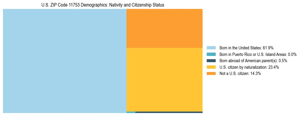 Treemap showing the population distribution by nativity and citizenship status in US ZIP Code 11753 based on U.S. Census data.