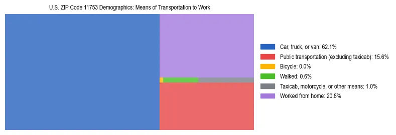 Treemap showing means of transportation to work distribution in US ZIP Code 11753.