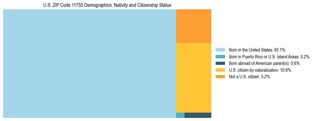 Treemap showing the population distribution by nativity and citizenship status in US ZIP Code 11755 based on U.S. Census data.