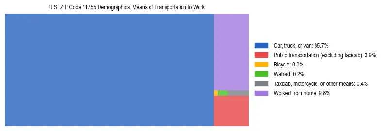 Treemap showing means of transportation to work distribution in US ZIP Code 11755.