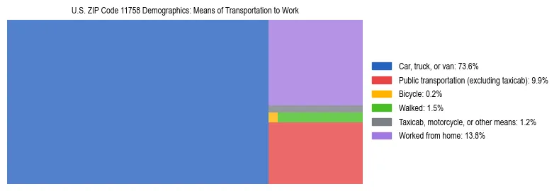 Treemap showing means of transportation to work distribution in US ZIP Code 11758.