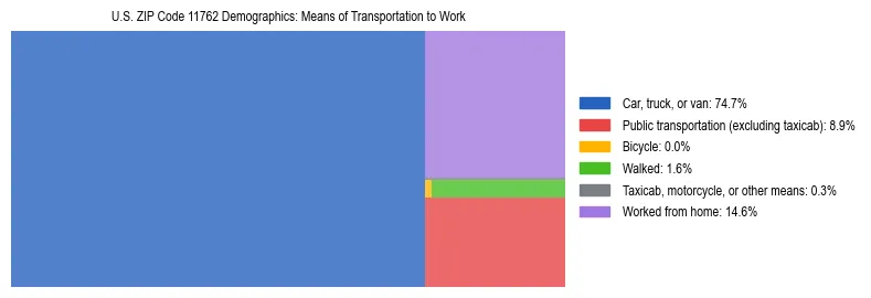 Treemap showing means of transportation to work distribution in US ZIP Code 11762.