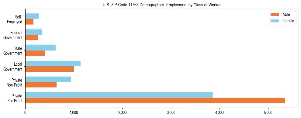 Horizontal bar chart showing employment distribution by class of worker and gender in US ZIP Code 11763, based on 2023 ACS data.