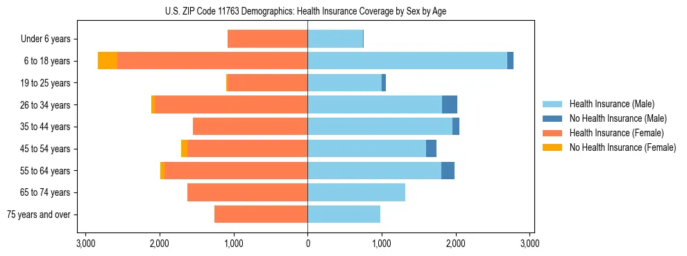 Pyramid chart showing health insurance coverage by age and sex in US ZIP Code 11763.