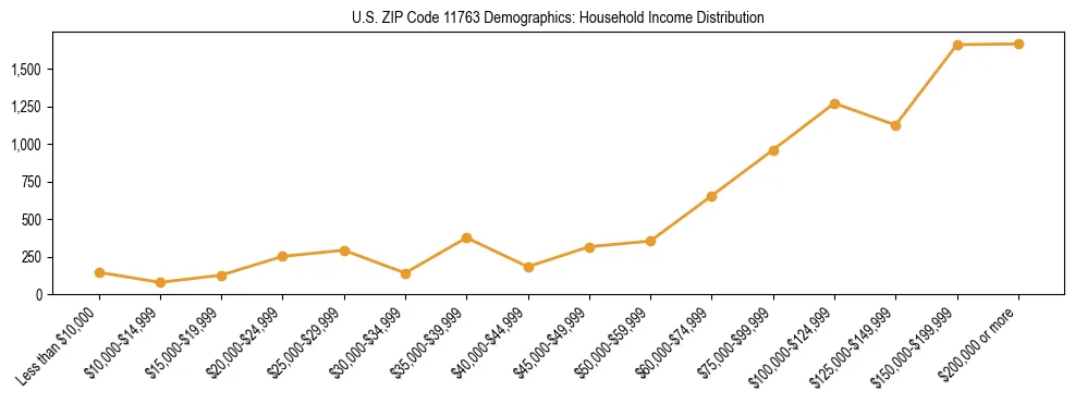 Horizontal bar chart showing household income distribution in US ZIP Code 11763.