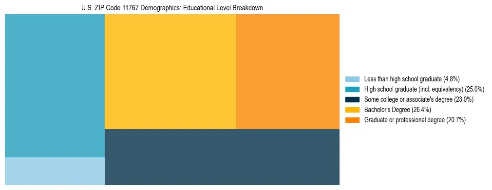 Treemap chart illustrating the educational attainment breakdown for population 25 years and over in US ZIP Code 11767.