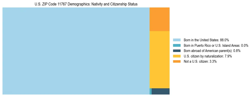 Treemap showing the population distribution by nativity and citizenship status in US ZIP Code 11767 based on U.S. Census data.