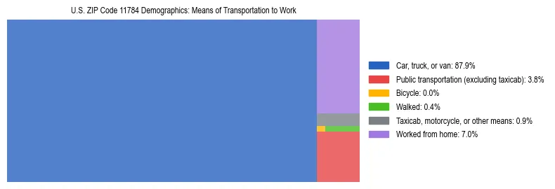 Treemap showing means of transportation to work distribution in US ZIP Code 11784.