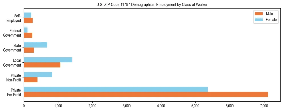 Horizontal bar chart showing employment distribution by class of worker and gender in US ZIP Code 11787, based on 2023 ACS data.