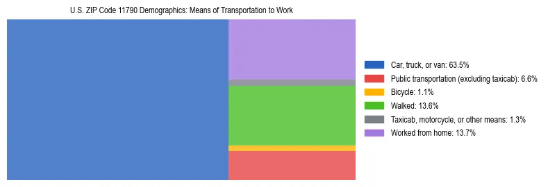 Treemap showing means of transportation to work distribution in US ZIP Code 11790.