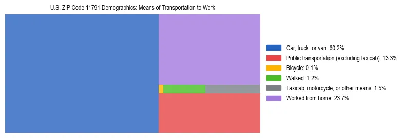 Treemap showing means of transportation to work distribution in US ZIP Code 11791.