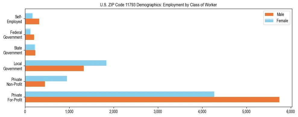 Horizontal bar chart showing employment distribution by class of worker and gender in US ZIP Code 11793, based on 2023 ACS data.