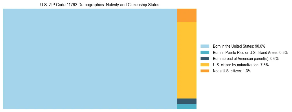 Treemap showing the population distribution by nativity and citizenship status in US ZIP Code 11793 based on U.S. Census data.