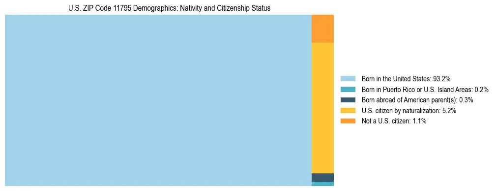 Treemap showing the population distribution by nativity and citizenship status in US ZIP Code 11795 based on U.S. Census data.