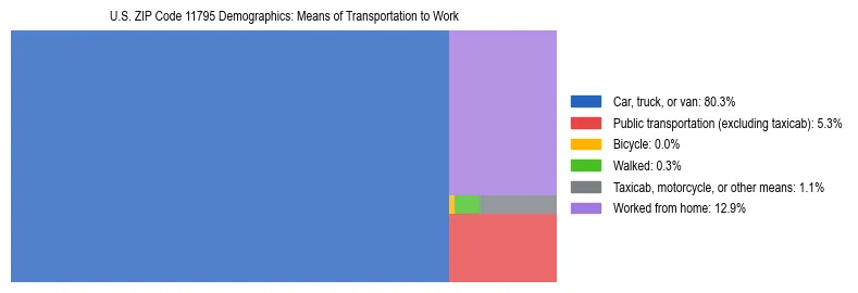 Treemap showing means of transportation to work distribution in US ZIP Code 11795.