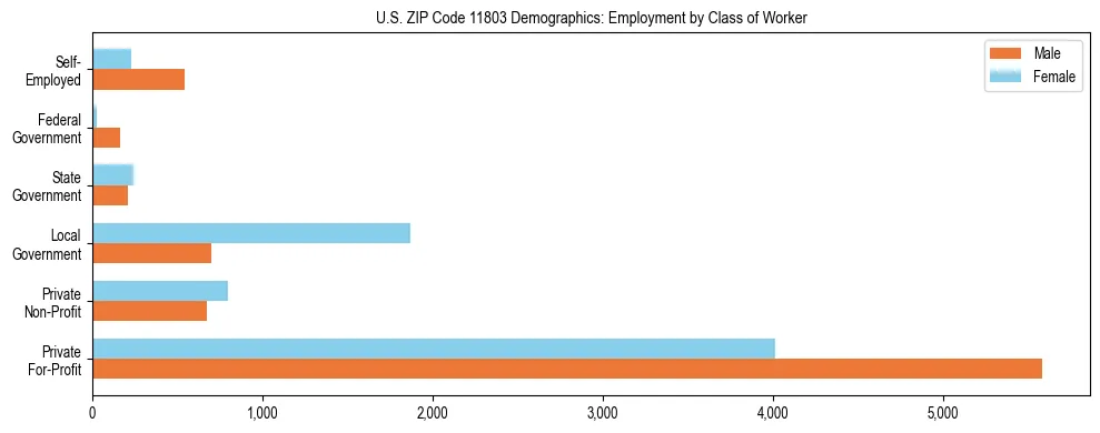 Horizontal bar chart showing employment distribution by class of worker and gender in US ZIP Code 11803, based on 2023 ACS data.