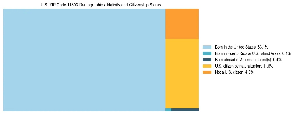 Treemap showing the population distribution by nativity and citizenship status in US ZIP Code 11803 based on U.S. Census data.