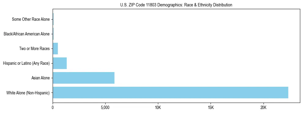 Race and Ethnicity Distribution Chart for US ZIP Code 11803