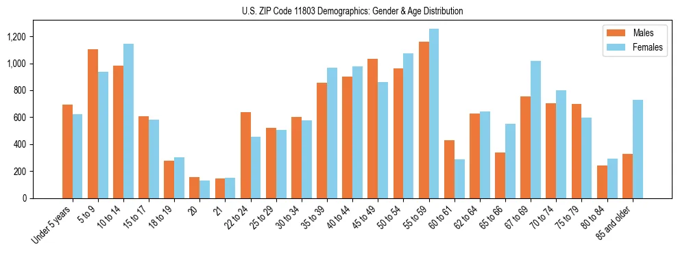 Bar chart showing the population distribution of US ZIP Code 11803 by age group and gender, based on 2023 ACS data.
