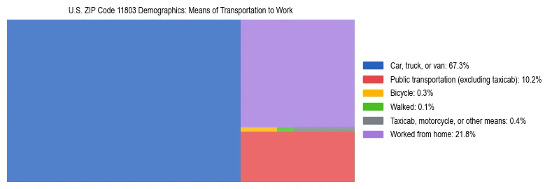 Treemap showing means of transportation to work distribution in US ZIP Code 11803.
