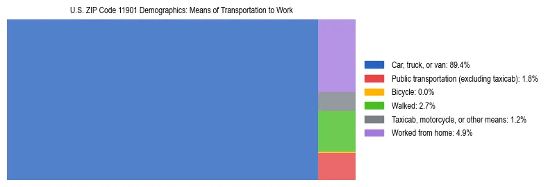 Treemap showing means of transportation to work distribution in US ZIP Code 11901.