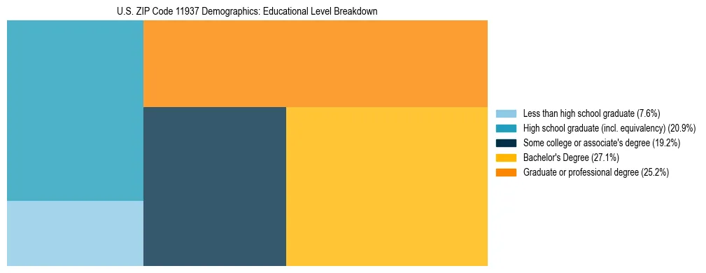 Treemap chart illustrating the educational attainment breakdown for population 25 years and over in US ZIP Code 11937.