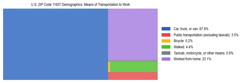 Treemap showing means of transportation to work distribution in US ZIP Code 11937.