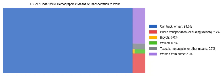 Treemap showing means of transportation to work distribution in US ZIP Code 11967.