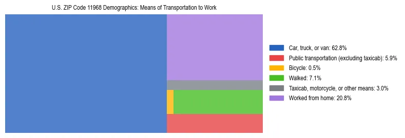 Treemap showing means of transportation to work distribution in US ZIP Code 11968.