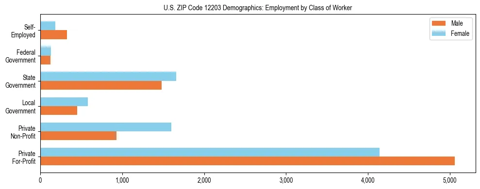 Horizontal bar chart showing employment distribution by class of worker and gender in US ZIP Code 12203, based on 2023 ACS data.