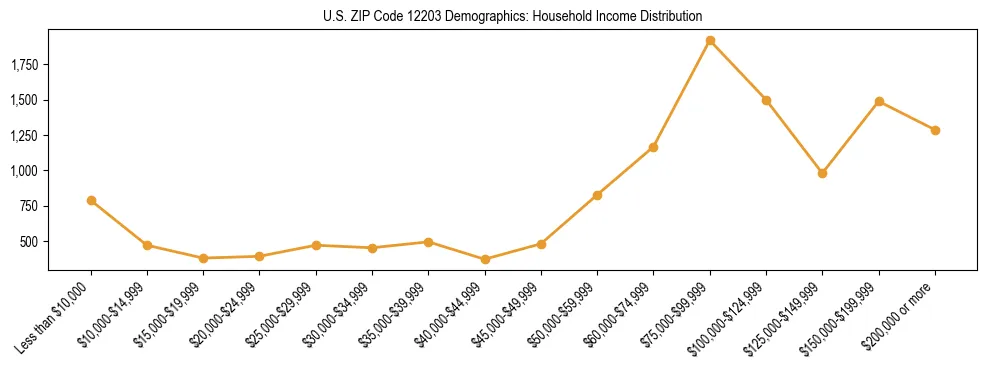 Horizontal bar chart showing household income distribution in US ZIP Code 12203.