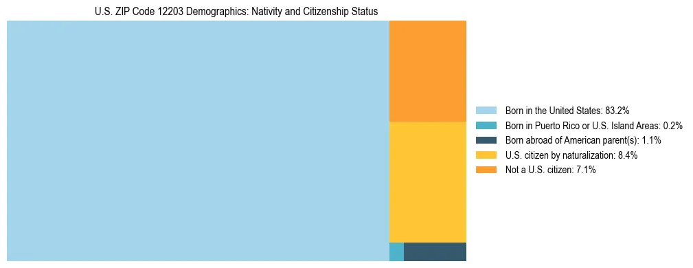 Treemap showing the population distribution by nativity and citizenship status in US ZIP Code 12203 based on U.S. Census data.