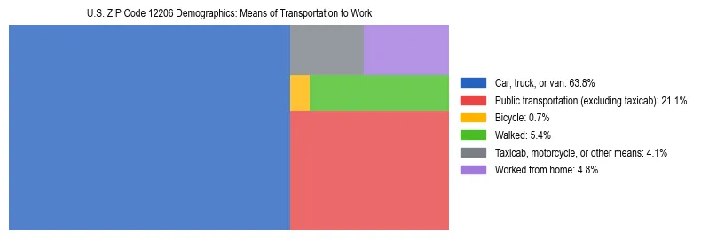 Treemap showing means of transportation to work distribution in US ZIP Code 12206.