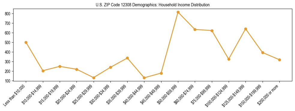Horizontal bar chart showing household income distribution in US ZIP Code 12308.