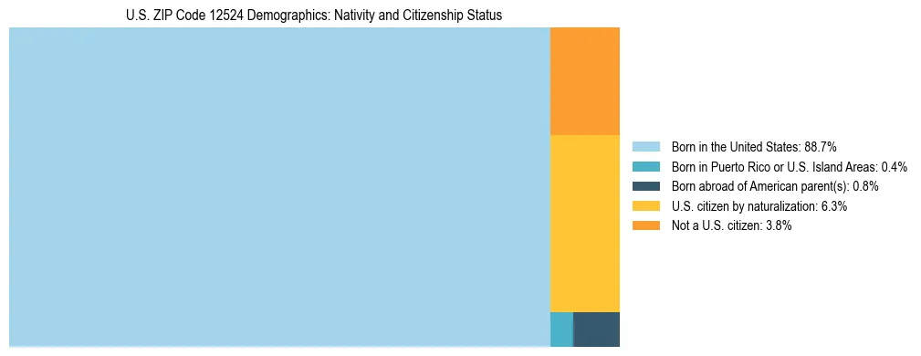 Treemap showing the population distribution by nativity and citizenship status in US ZIP Code 12524 based on U.S. Census data.