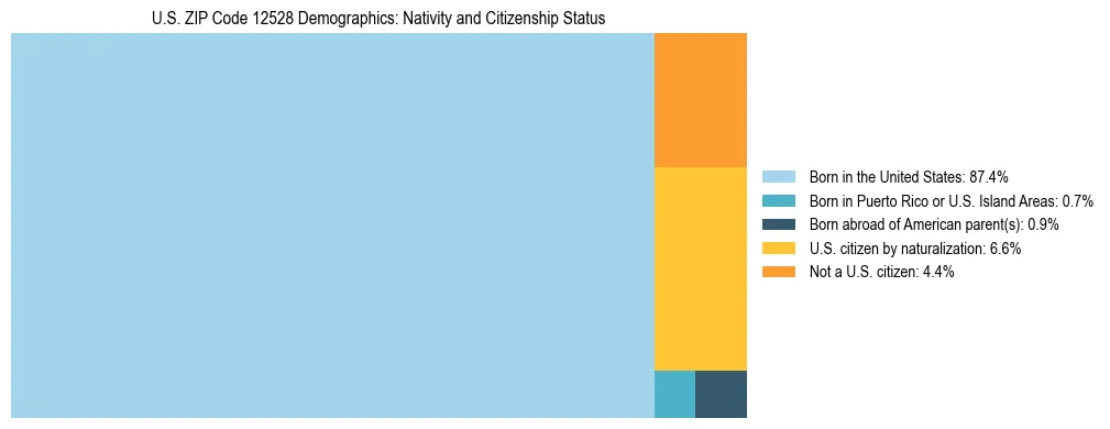 Treemap showing the population distribution by nativity and citizenship status in US ZIP Code 12528 based on U.S. Census data.