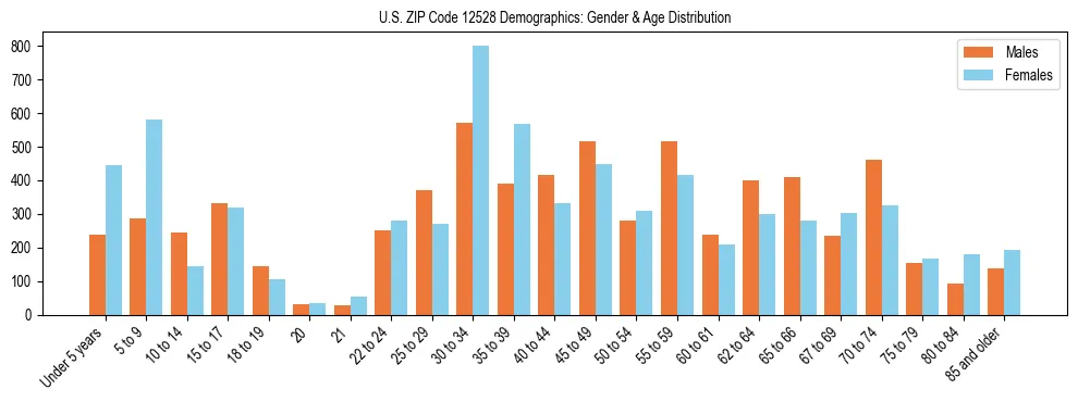Bar chart showing the population distribution of US ZIP Code 12528 by age group and gender, based on 2023 ACS data.