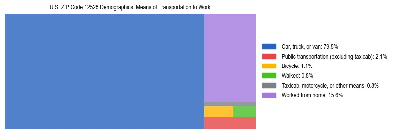 Treemap showing means of transportation to work distribution in US ZIP Code 12528.
