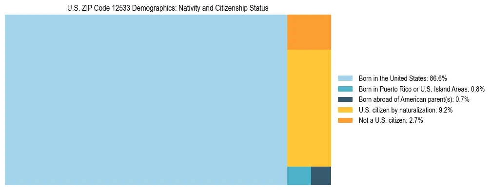 Treemap showing the population distribution by nativity and citizenship status in US ZIP Code 12533 based on U.S. Census data.