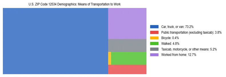 Treemap showing means of transportation to work distribution in US ZIP Code 12534.