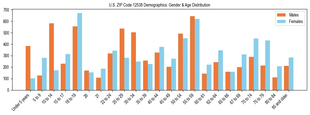 Bar chart showing the population distribution of US ZIP Code 12538 by age group and gender, based on 2023 ACS data.
