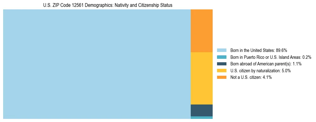 Treemap showing the population distribution by nativity and citizenship status in US ZIP Code 12561 based on U.S. Census data.