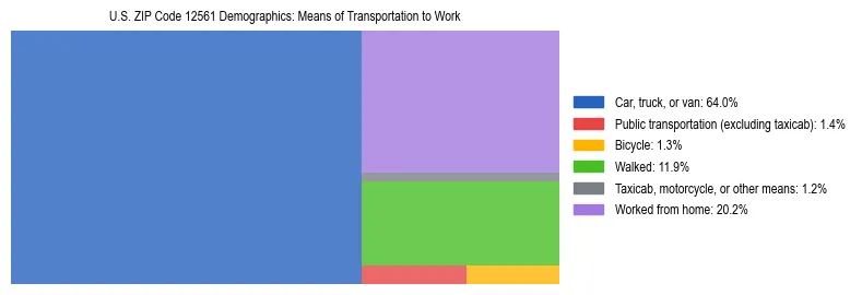 Treemap showing means of transportation to work distribution in US ZIP Code 12561.