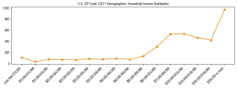 Horizontal bar chart showing household income distribution in US ZIP Code 12571.