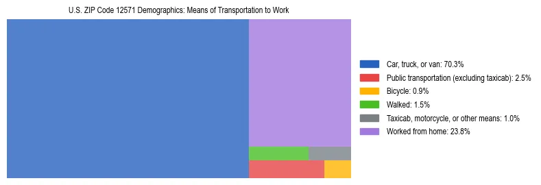 Treemap showing means of transportation to work distribution in US ZIP Code 12571.