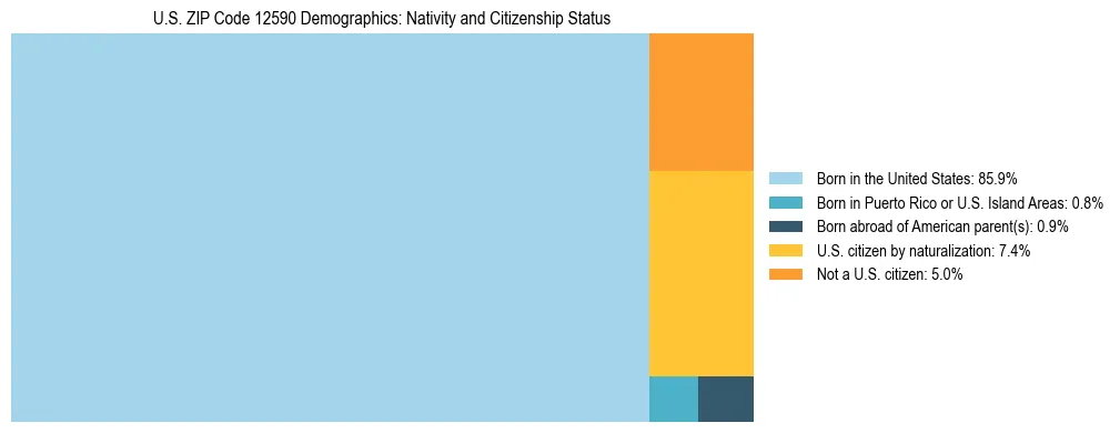 Treemap showing the population distribution by nativity and citizenship status in US ZIP Code 12590 based on U.S. Census data.